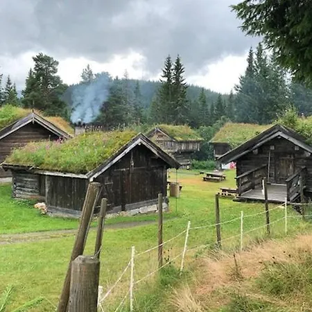 Moderne Bjerghytte Med Fantastisk Udsigt I * Rauland
