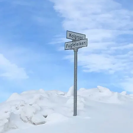 Moderne Bjerghytte Med Fantastisk Udsigt I *