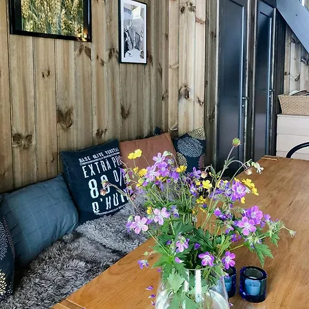 Moderne Bjerghytte Med Fantastisk Udsigt I Holiday home *