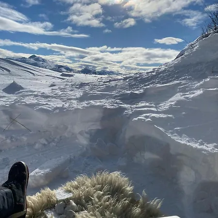 Modern With View In *